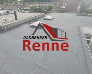 Dakbeheer Renne.jpg