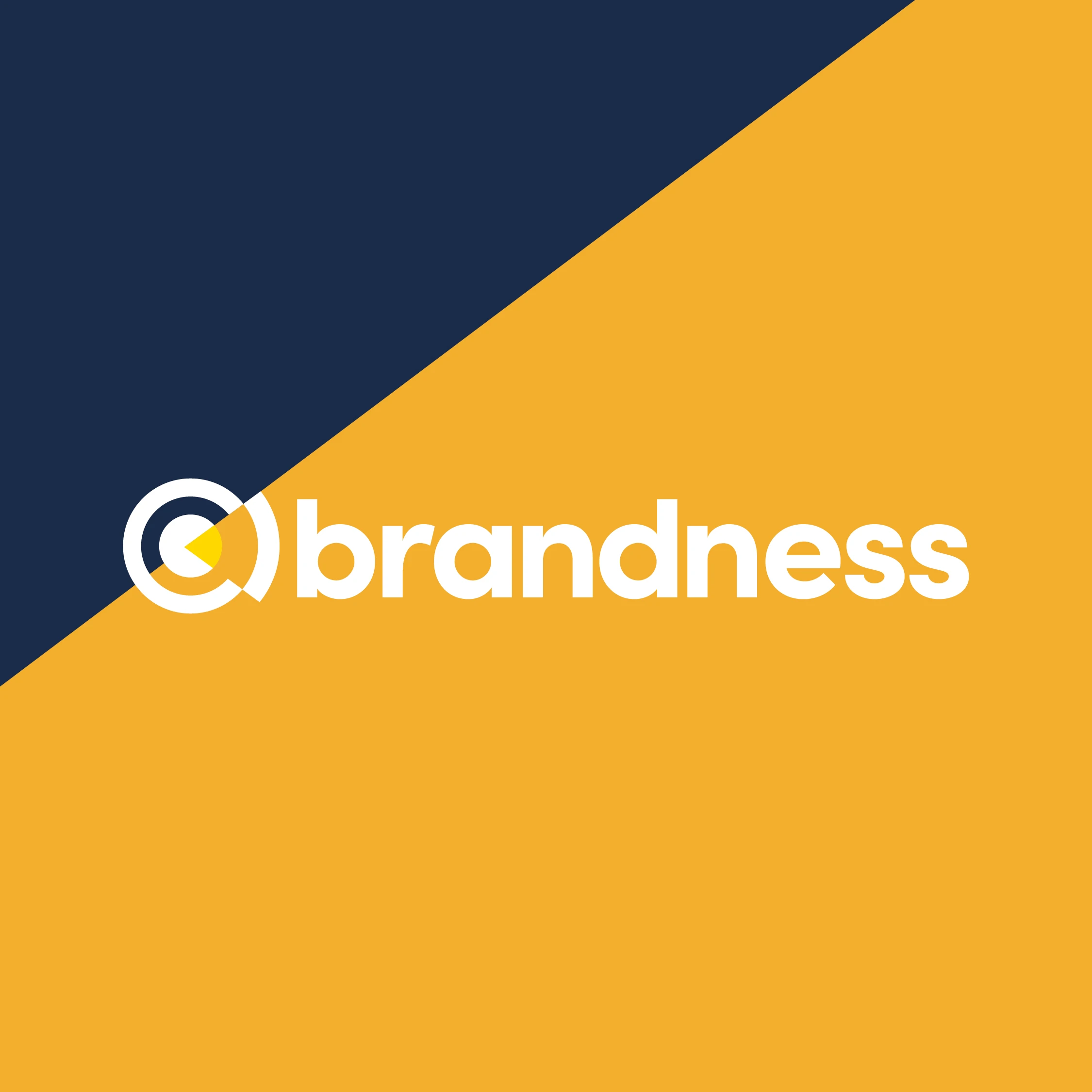 brandness B.V..jpg