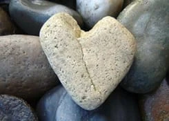 Terramor Uitvaartzorg.jpg