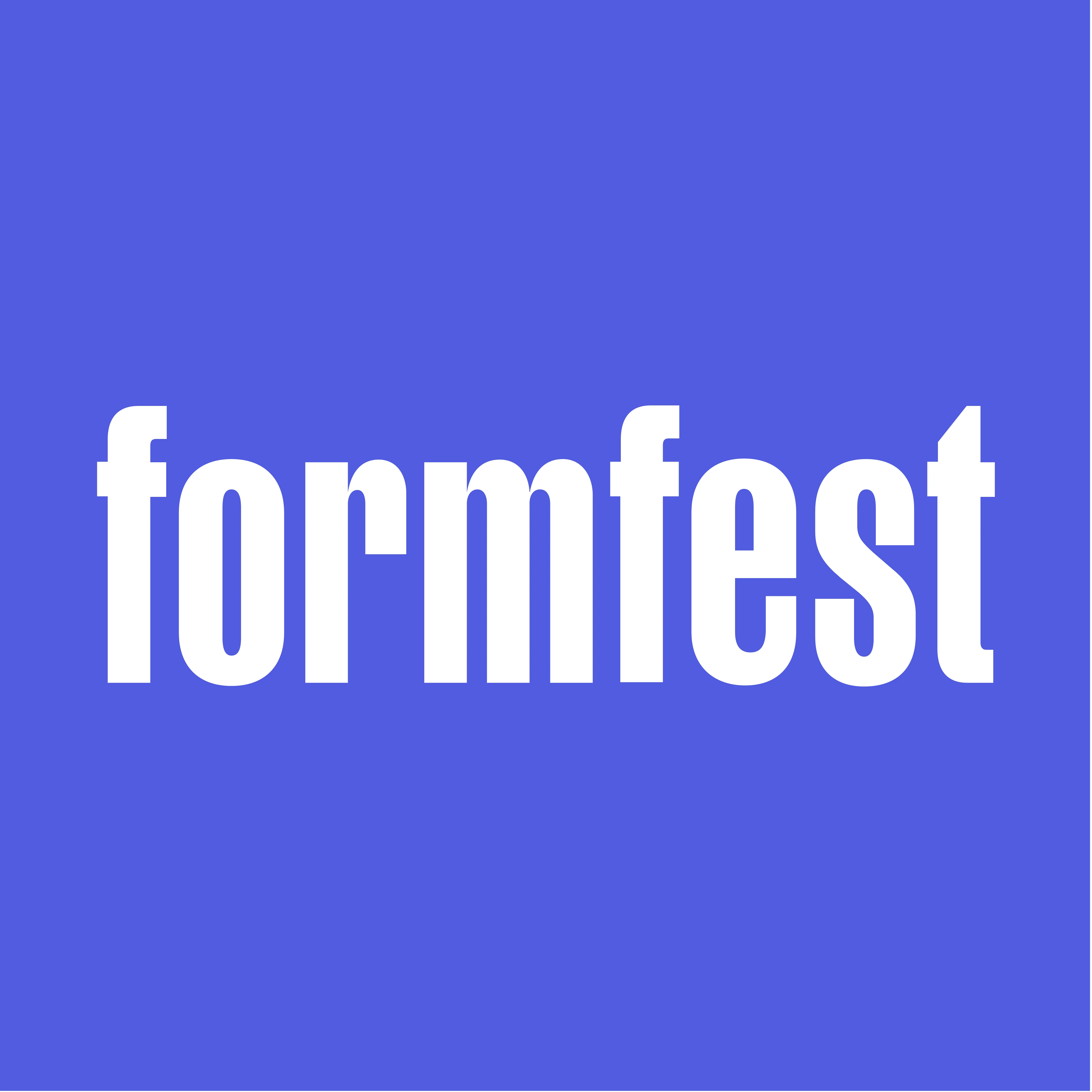 formfest.nl | Branding that Wows.jpg