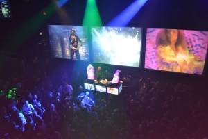 Alex van Oostrom B.V..jpg