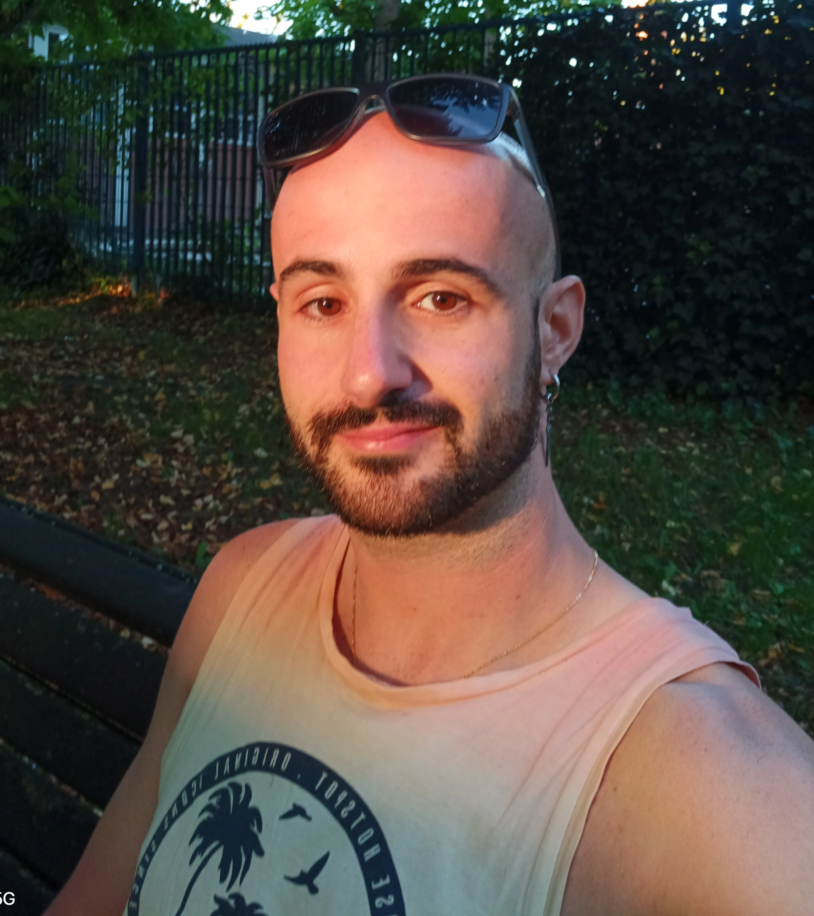 Original Academia.jpg