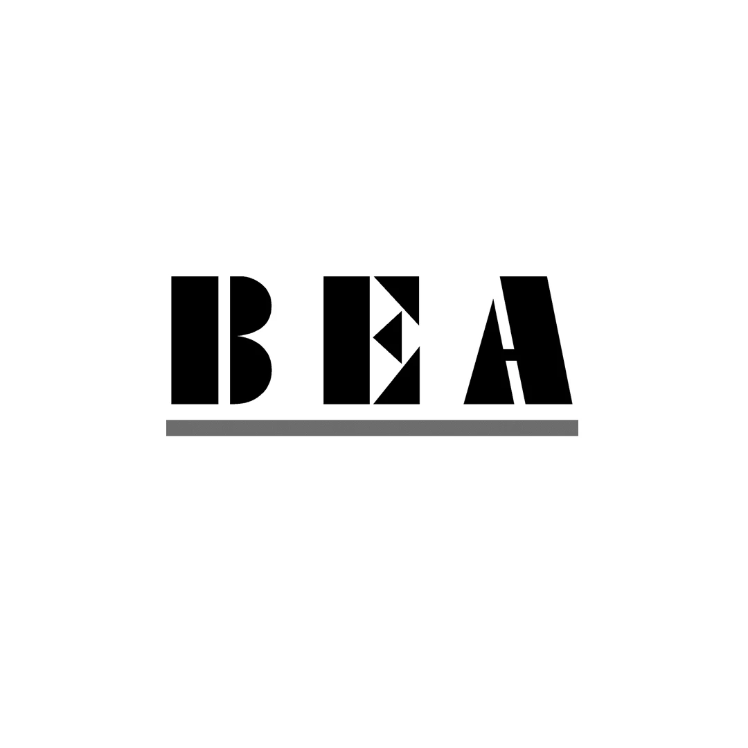 BEA Bergmann Elektro- u. Antennentechnik GmbH.jpg