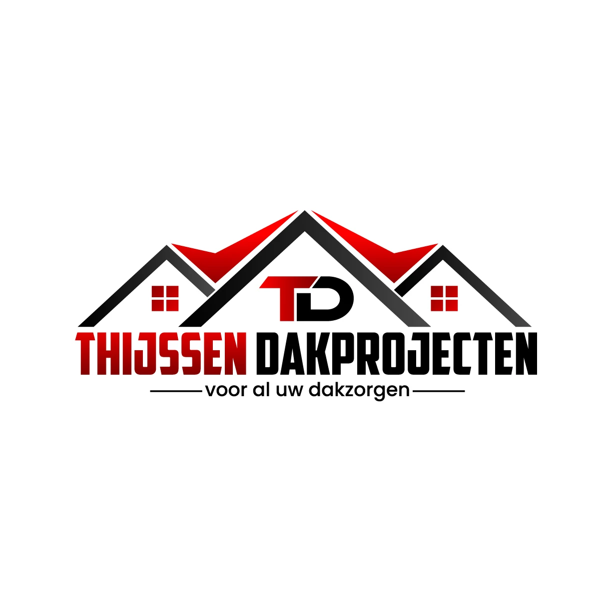 Thijssen Dakprojecten .jpg