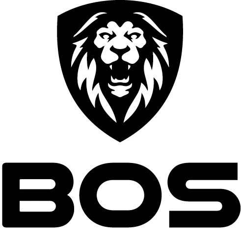 BOS Group.jpg