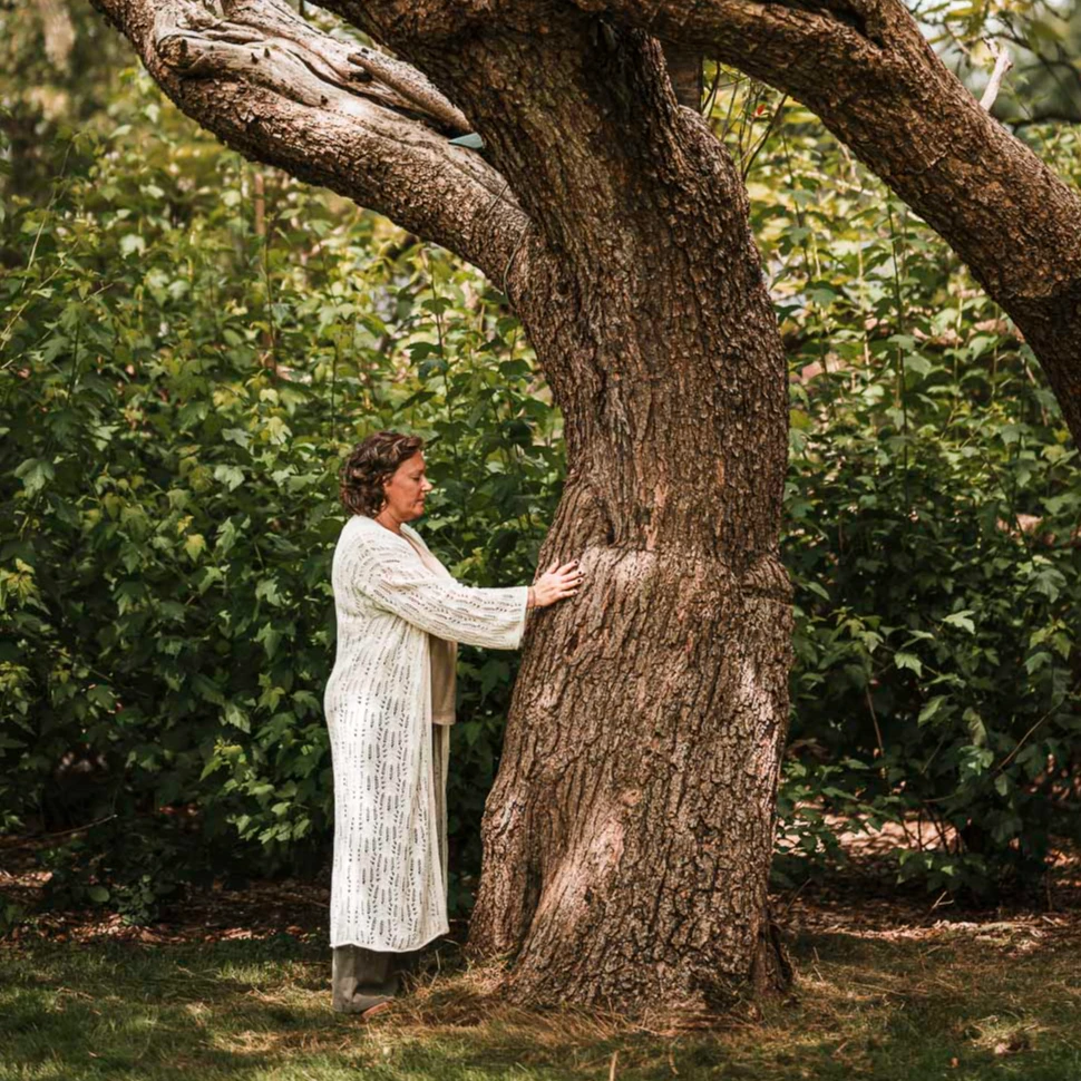 The Mother Tree.jpg