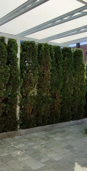 VIST.Gartenliebe.jpg