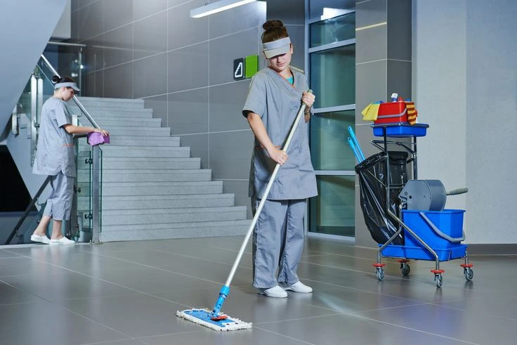 GMS Glanz Meister Service.jpg