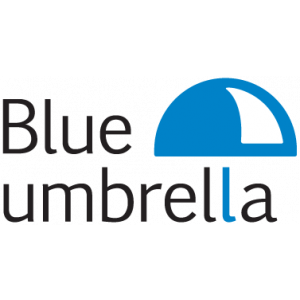 Blue Umbrella.jpg