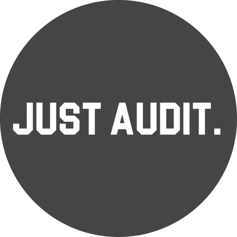Just Audit B.V..jpg