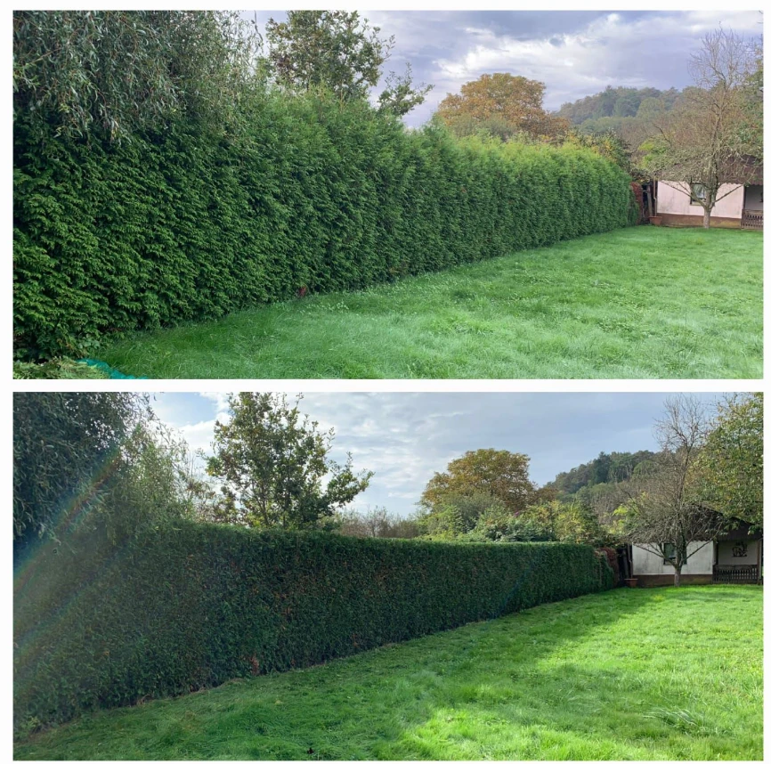 MK Gartenpflege.jpg