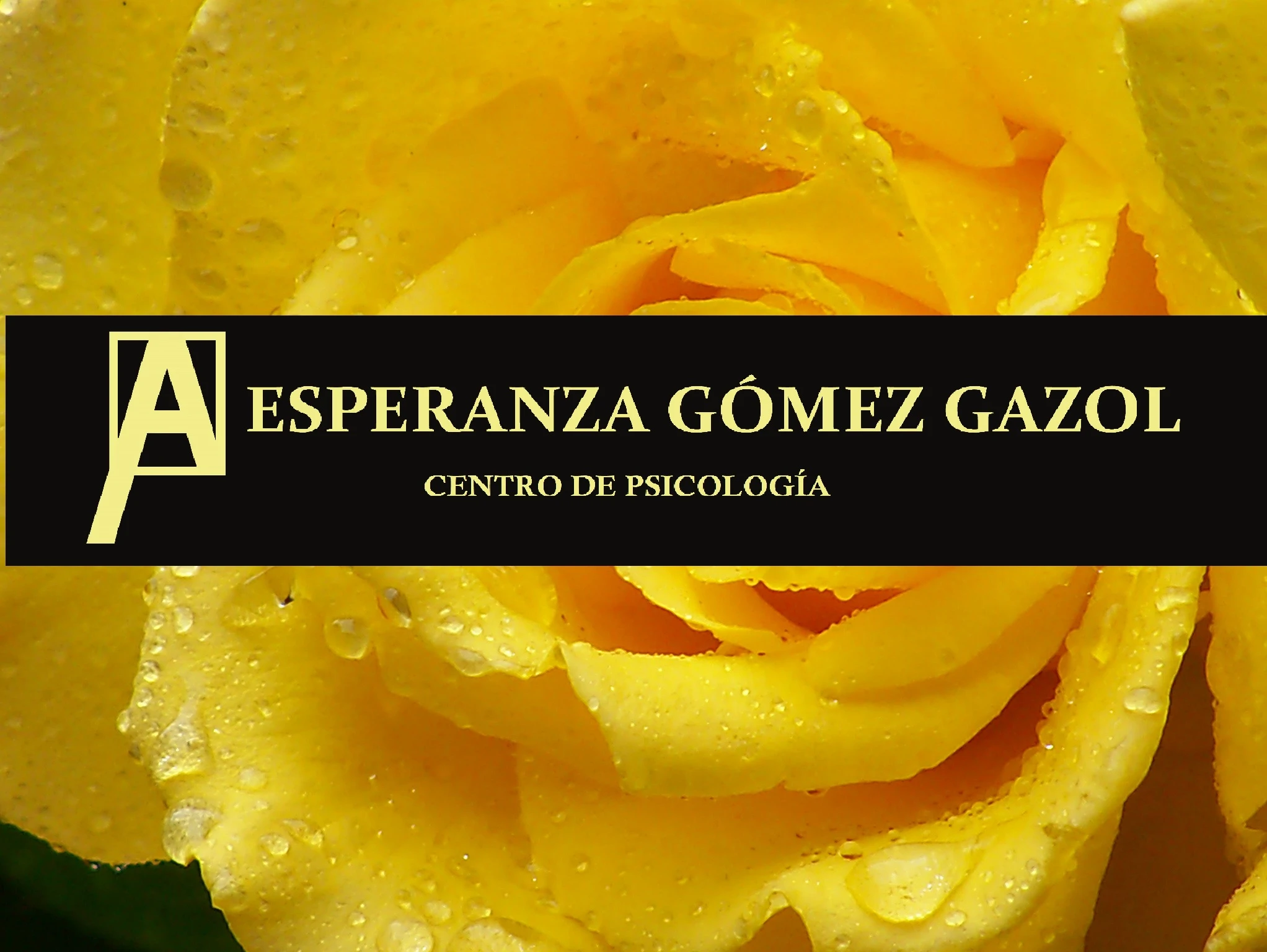 Esperanza Gómez Gazol.jpg
