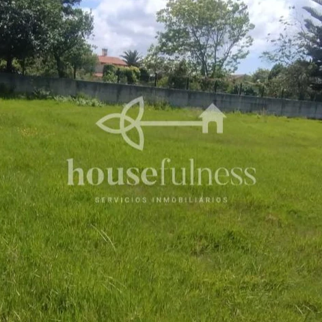 Housefulness Consultoría y Servicios Inmobiliarios.jpg