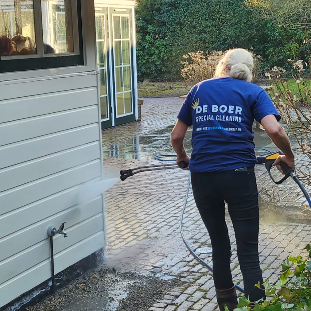 De Boer- Special Cleaning.jpg