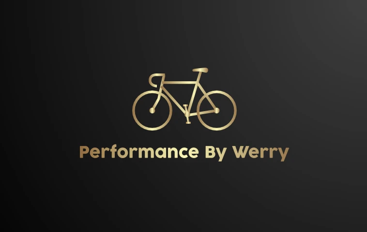 Performance By Werry.jpg