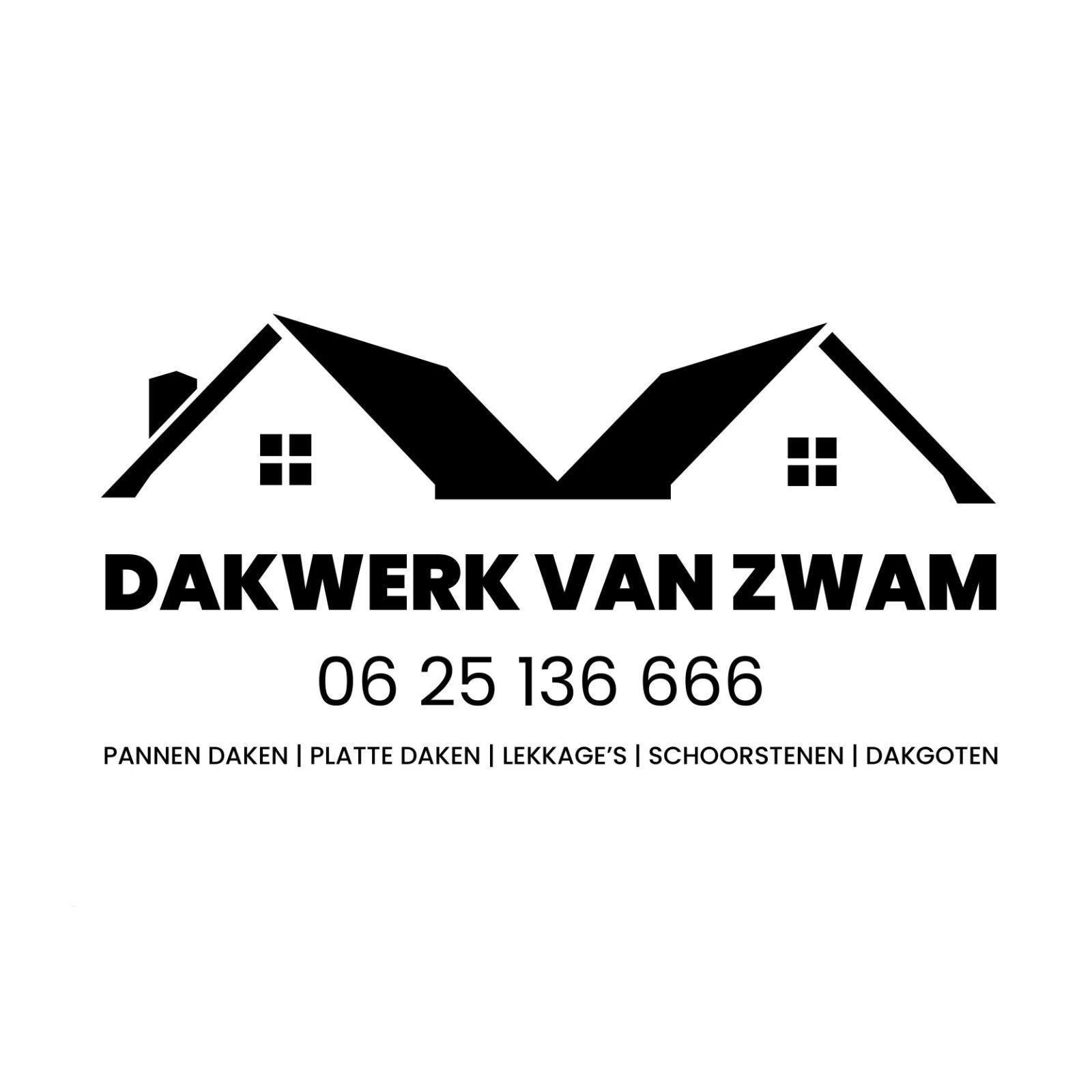 Dakwerk van Zwam.jpg