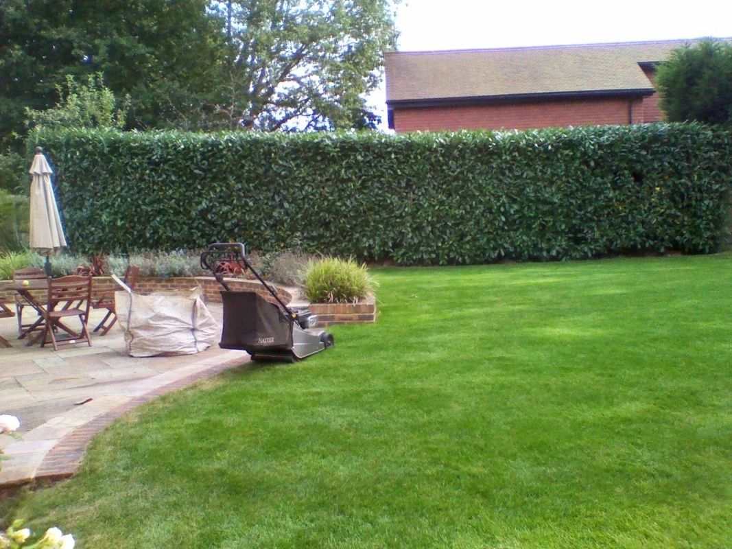 Jardina Hoveniers .jpg