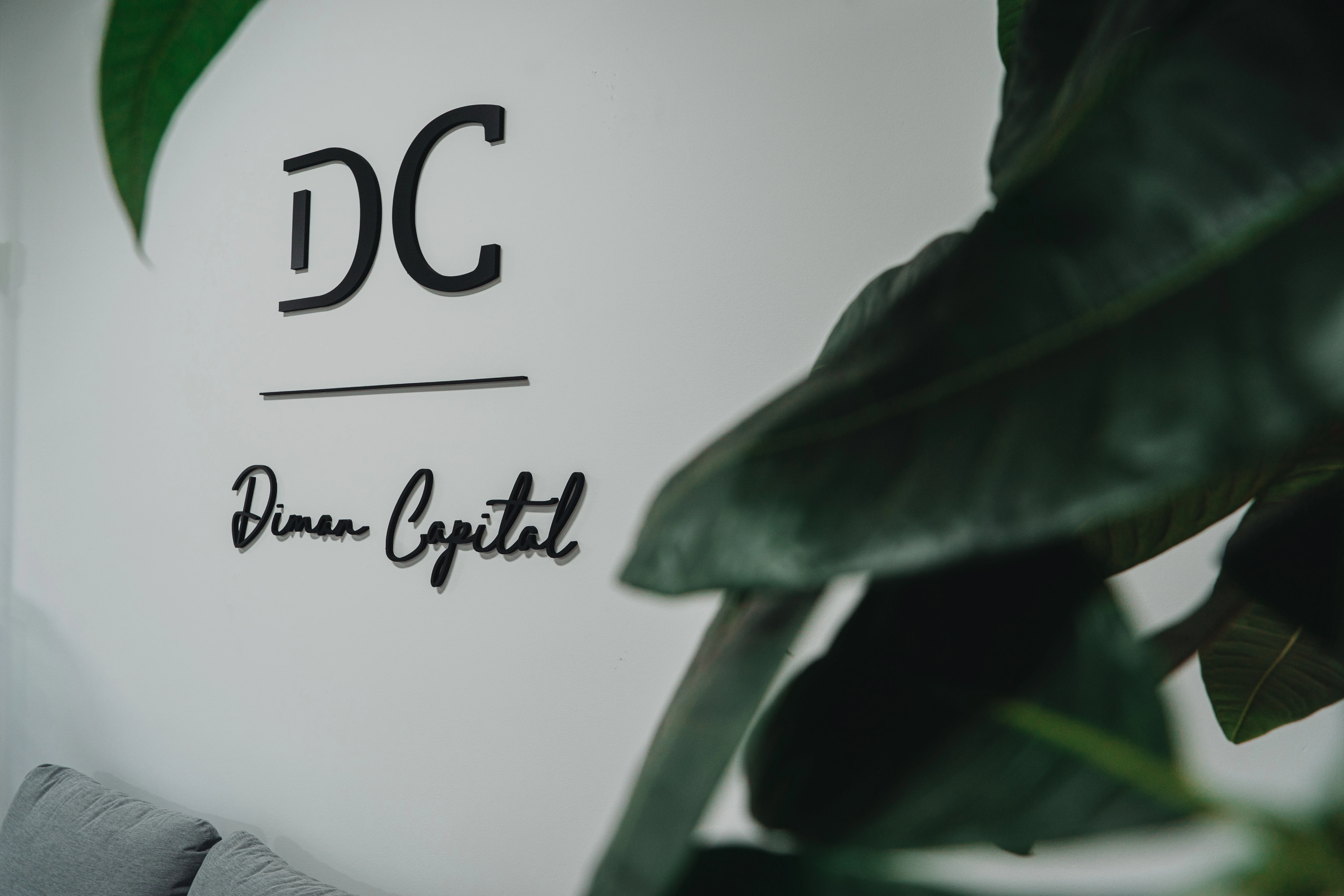 Diman Capital | Asesoramiento financiero y patrimonial.jpg