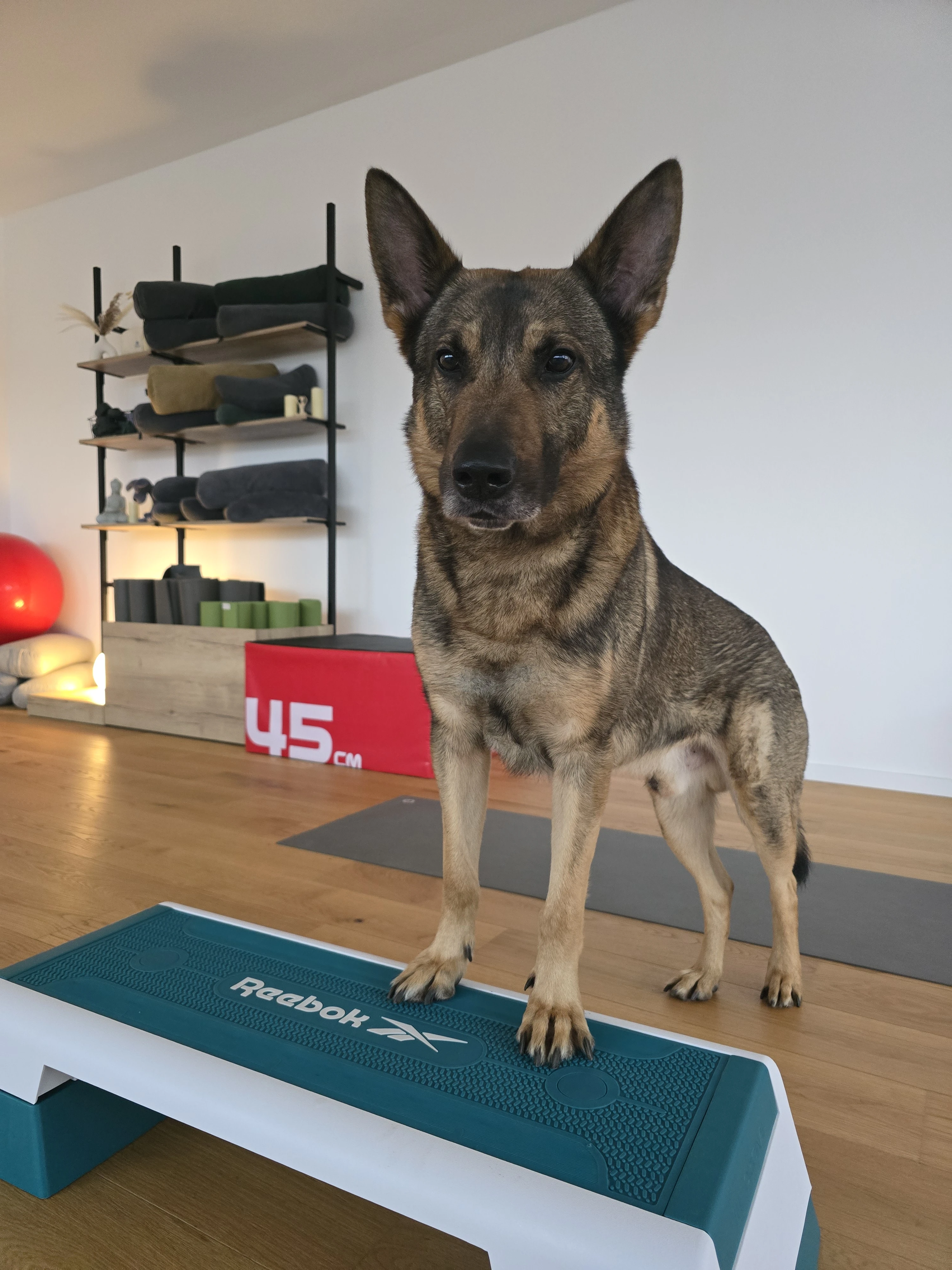 Lisa Dreesen Personal Training.jpg