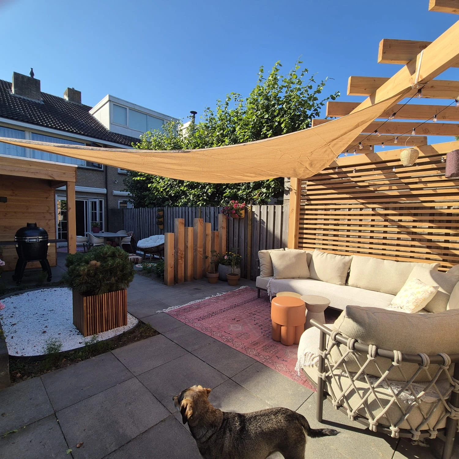 Wesley Adler Services .jpg