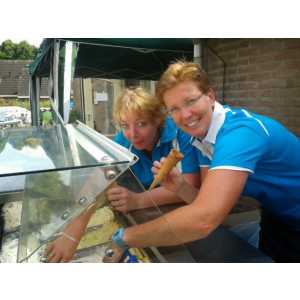 An Taofel Catering & Maaltijdservice.jpg