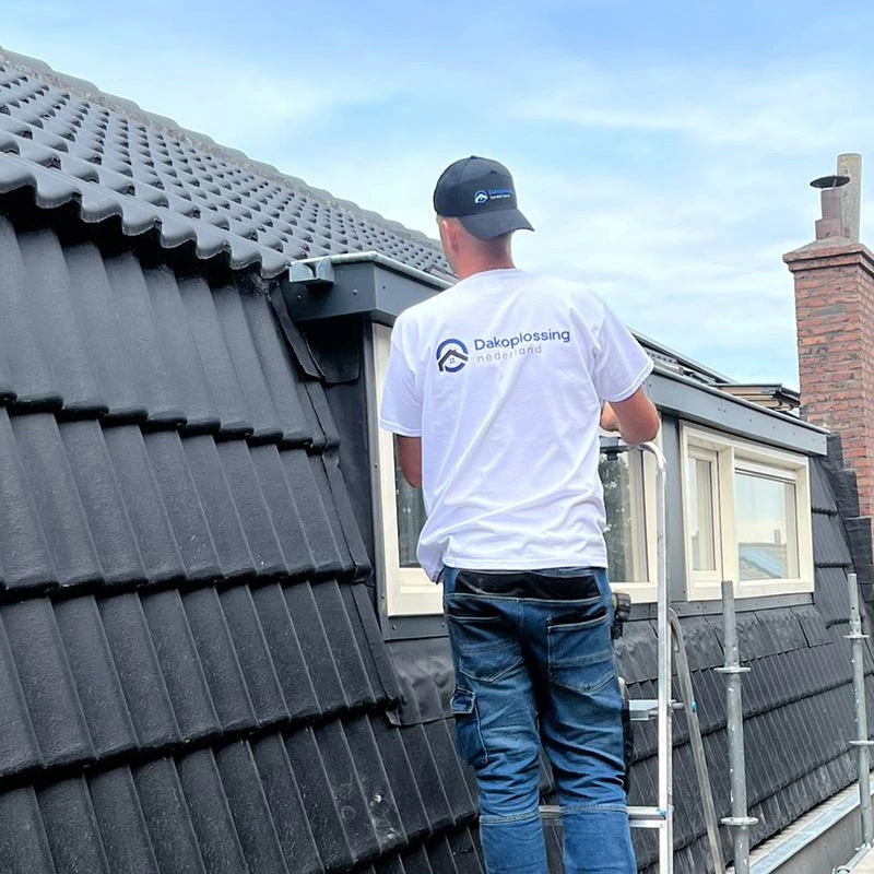 Dakoplossing Nederland B.V..jpg