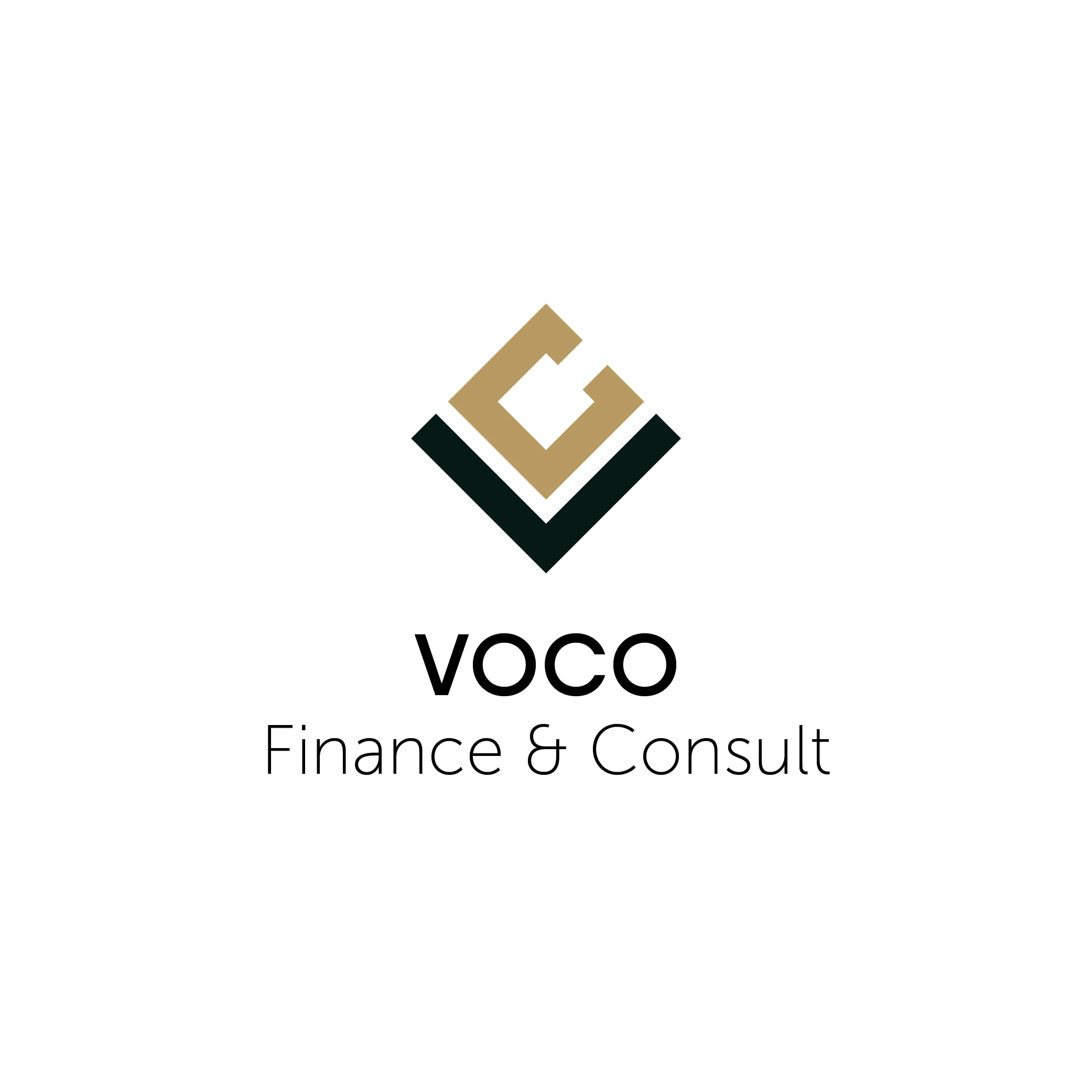 VoCo Finance.jpg