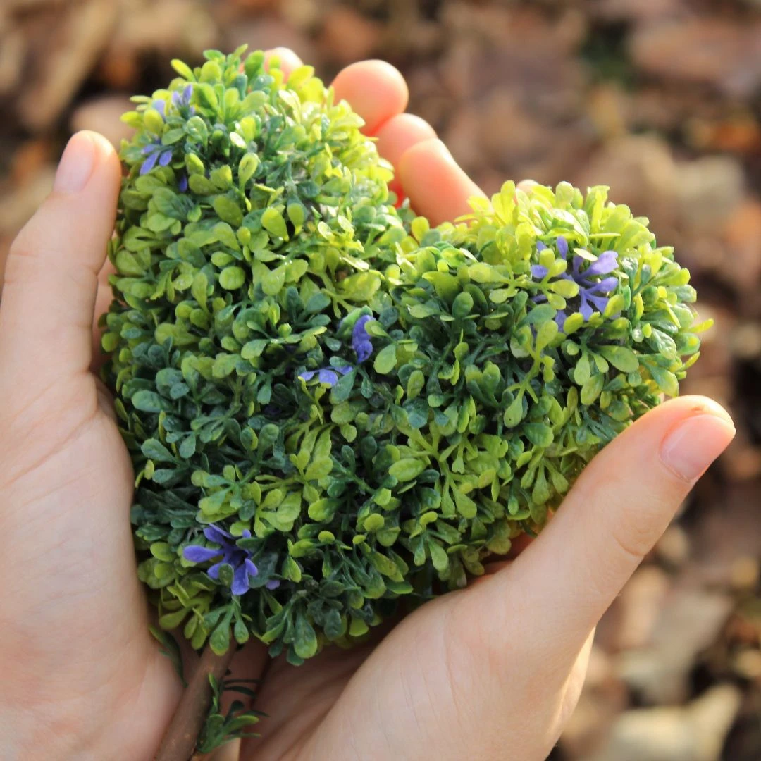 Ruhestätte Plus GmbH.jpg