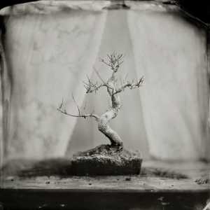 Arold Van der Aa | Fotograaf.jpg