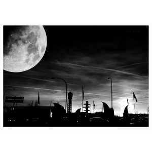 Astrid Roox Fotografie.jpg