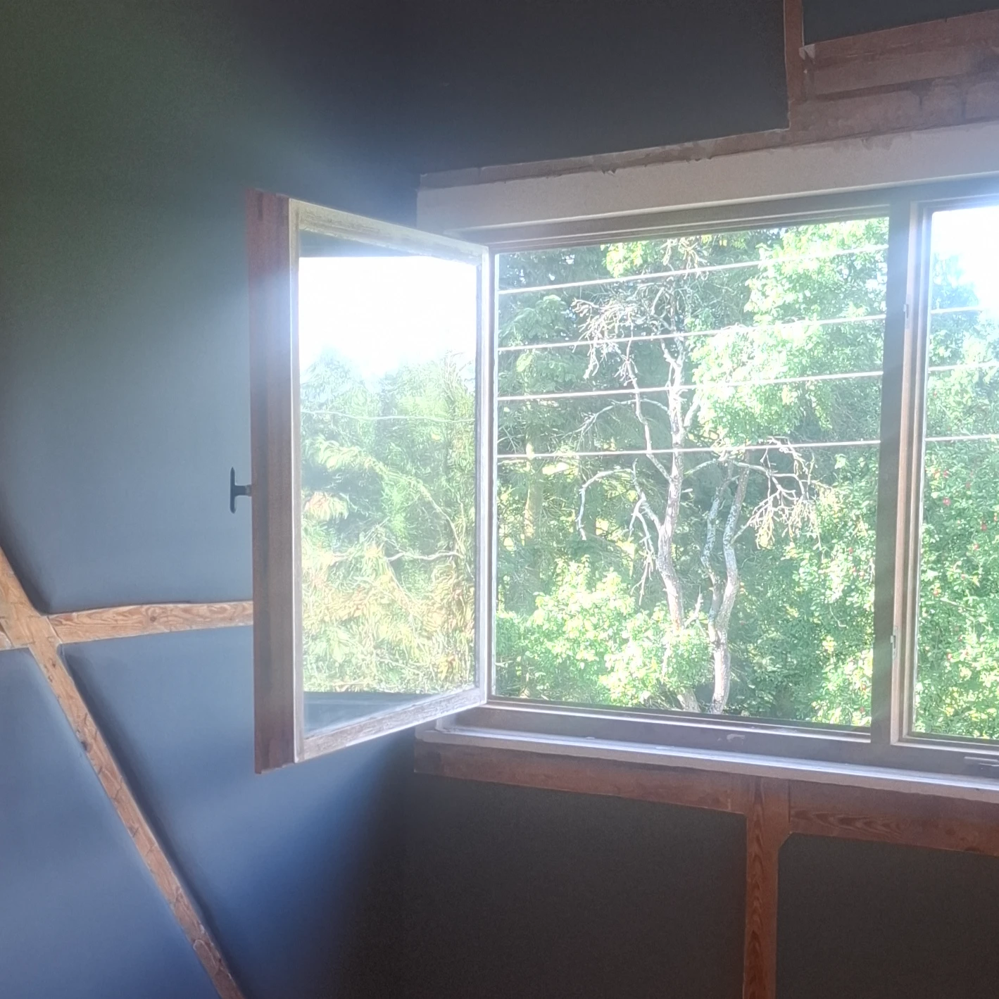 A1HT  FensterPro & InsectLine .jpg