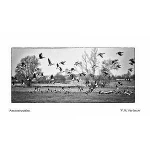 Frank Verlouw Bruidsfotografie.jpg