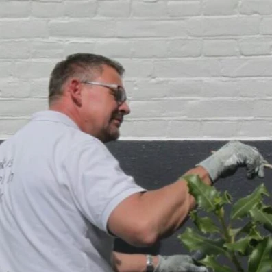 Alink Schilder & Glasservice.jpg