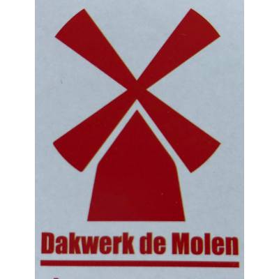 Dakwerk De Molen.jpg