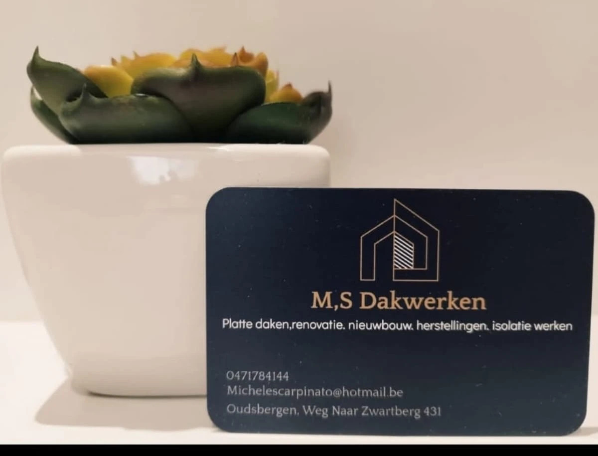 MS Dakwerken.jpg