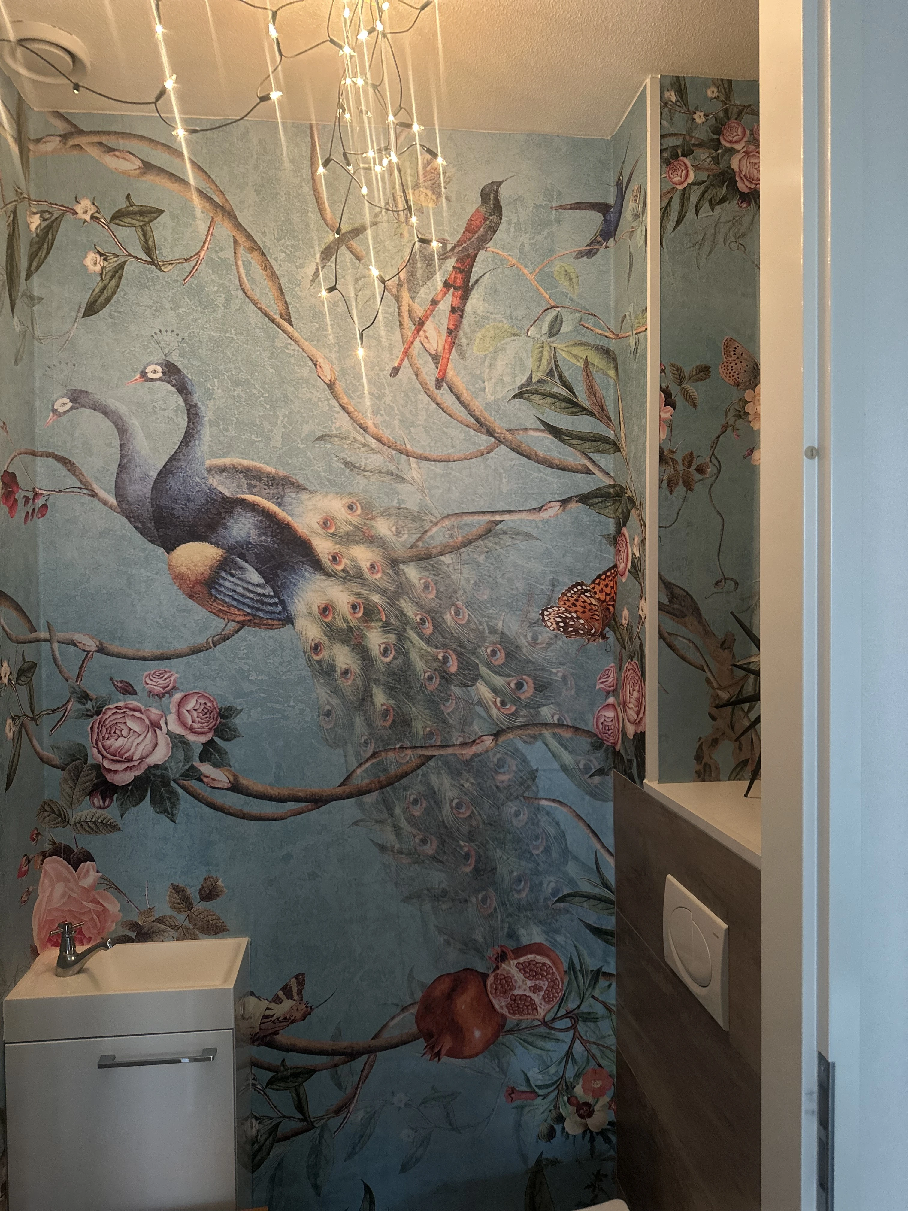 MSD Multidiensten.jpg