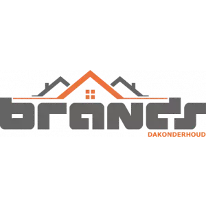 brands dakonderhoud.jpg