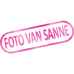 Sanne van Westeneng.jpg