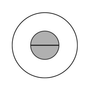 PHOTO12 Professionele Fotografie.jpg