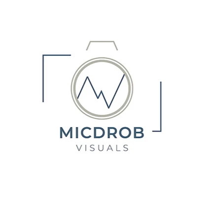 Micdrob Visuals.jpg