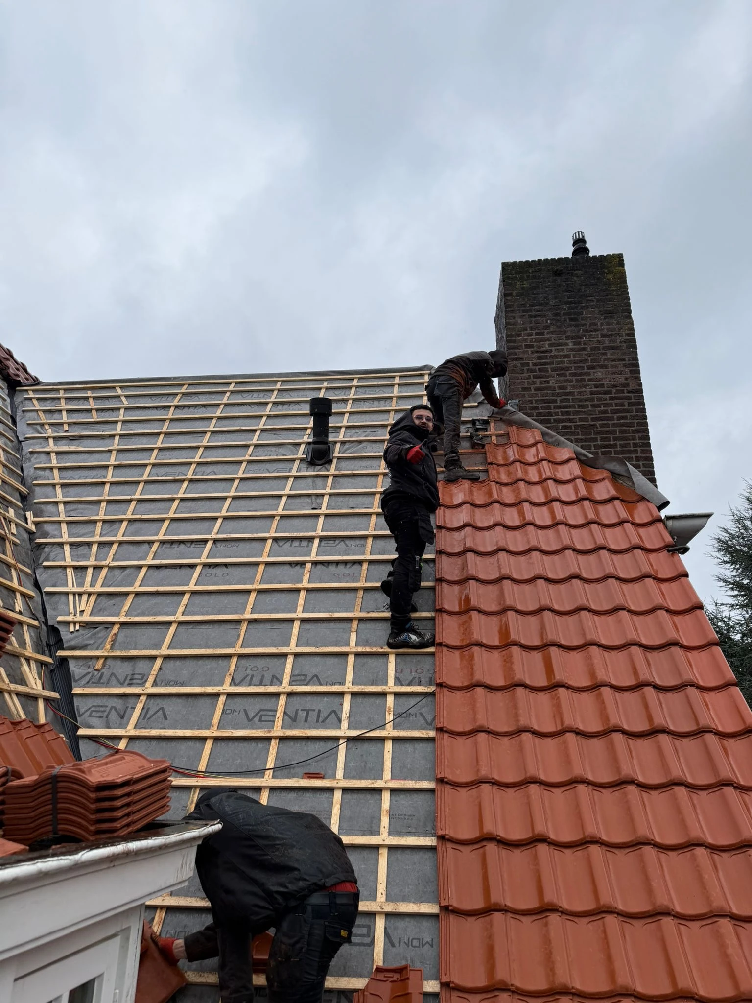 Dakspecialist de Zwarte Duif.jpg