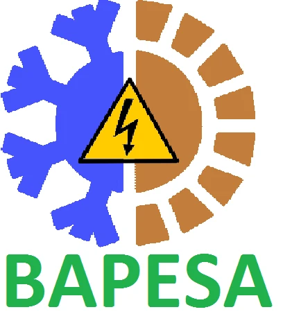 Bapesa.jpg