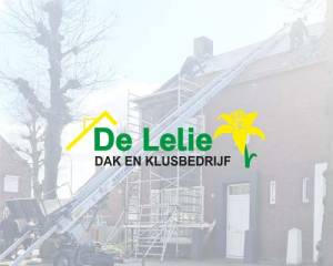 Dakenklusbedrijf de lelie.jpg