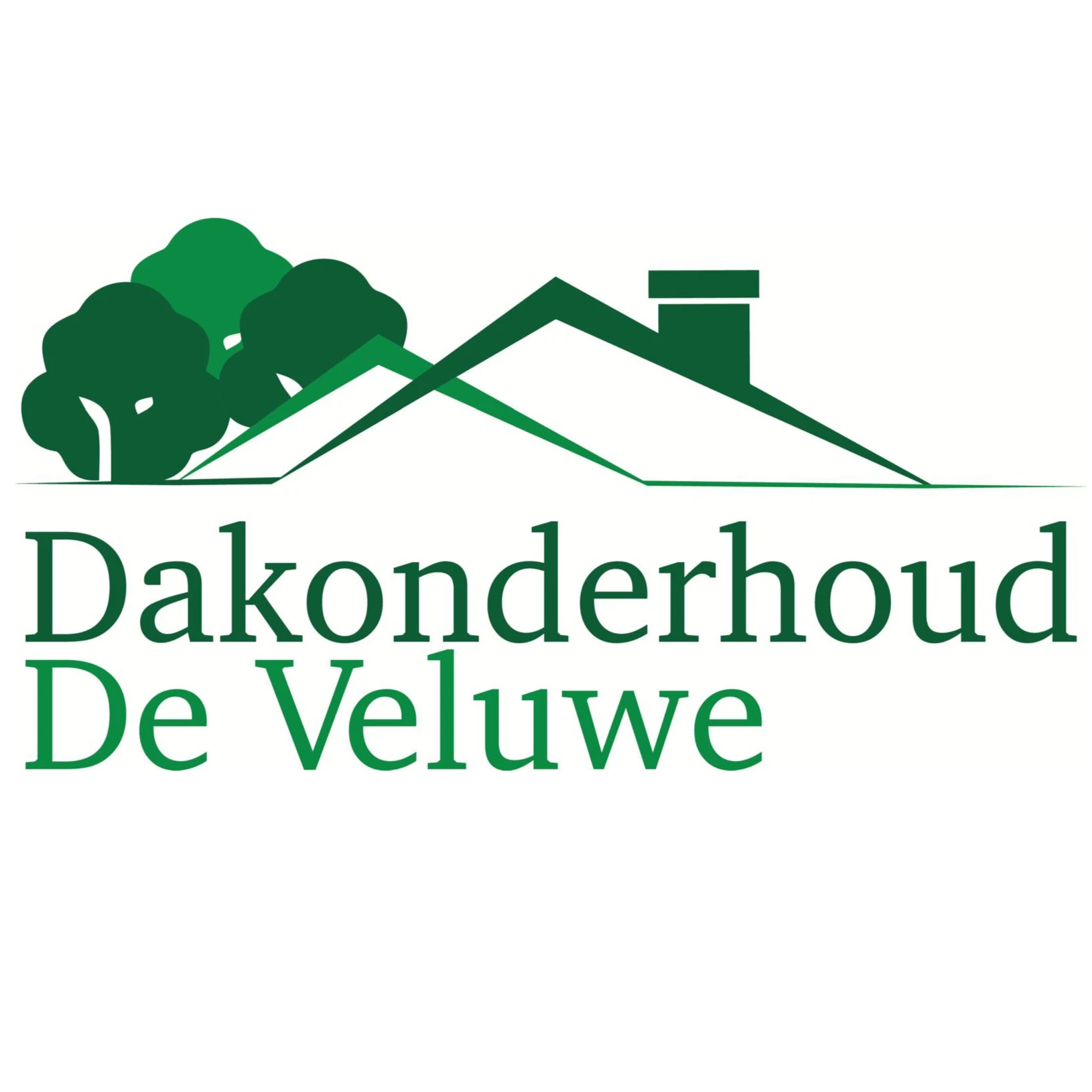 Dakonderhoud De Veluwe B.V..jpg