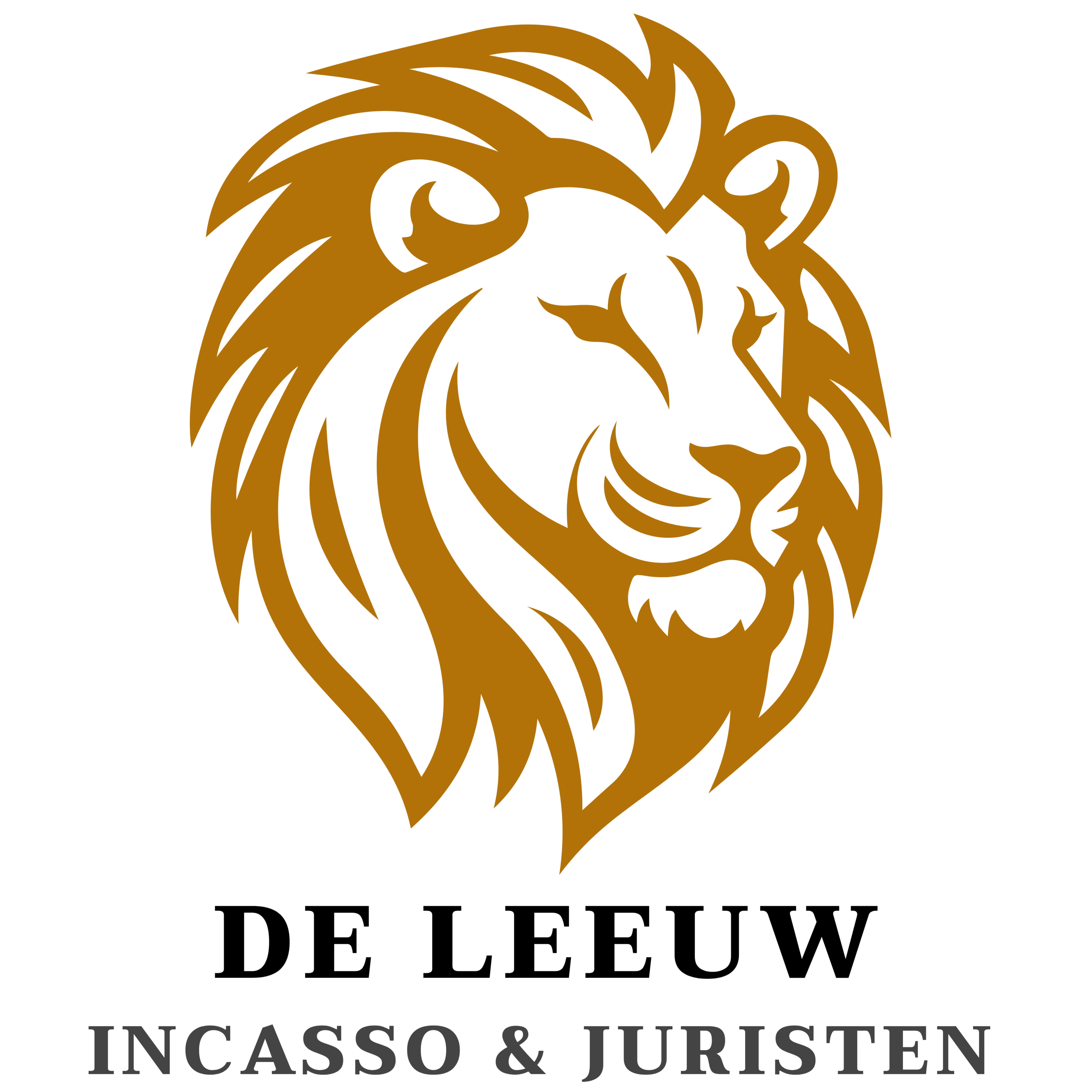 De Leeuw Incasso & Juristen.jpg