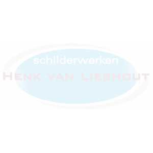 Schilderwerken Henk van Lieshout.jpg