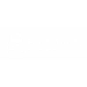 Romy Oomen Photography.jpg