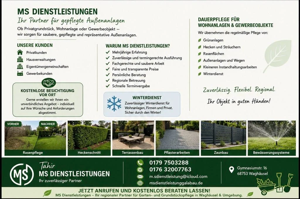 MS Dienstleistungen.jpg