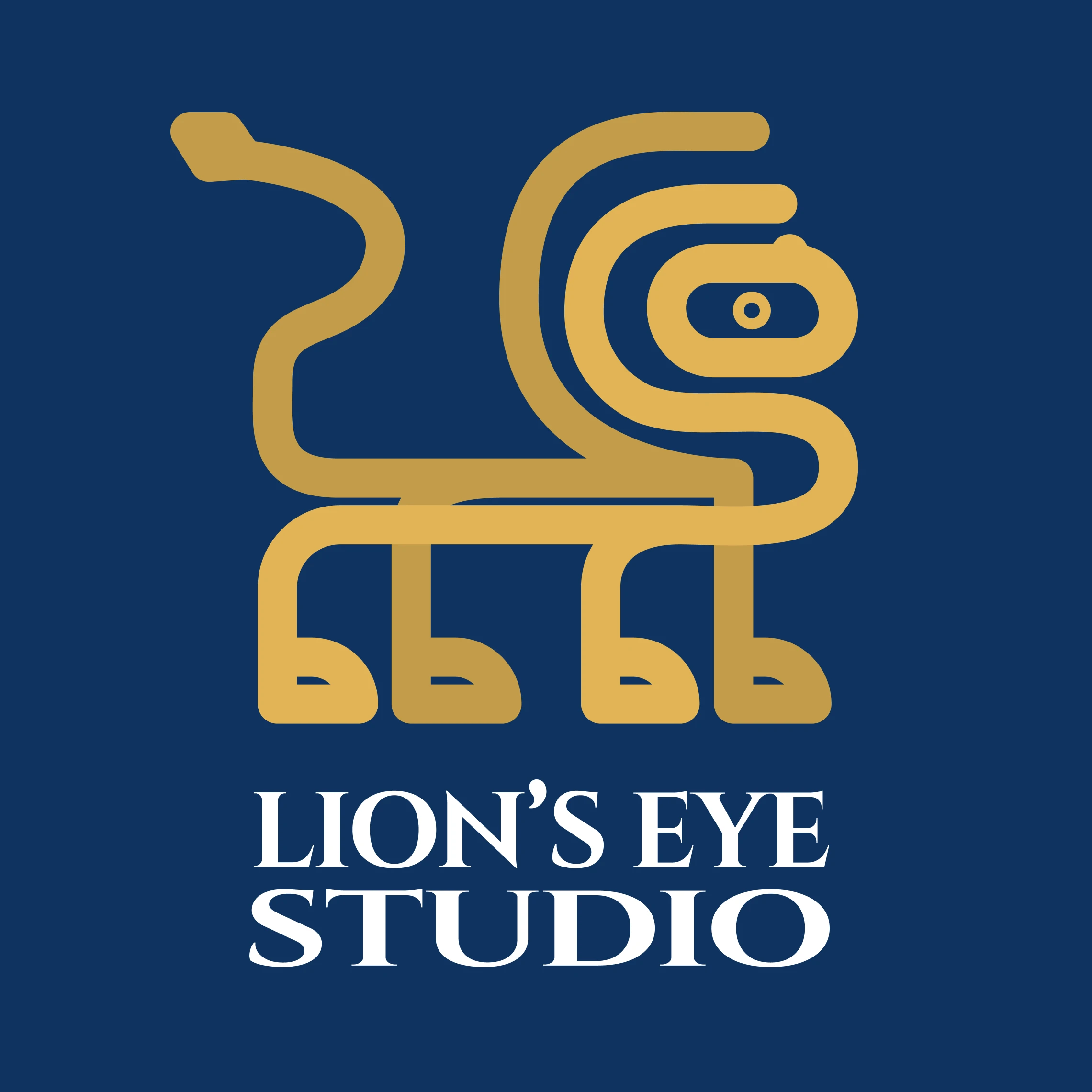 Lion's Eye Studio.jpg