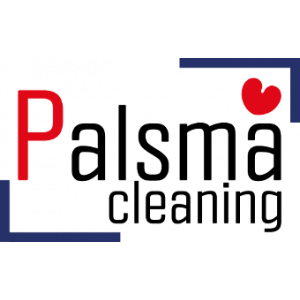 Palsma Cleaning.jpg